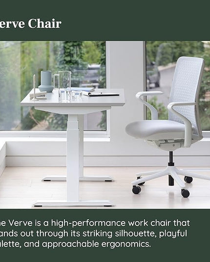 Branch Verve Chair - High Performance Executive Office Chair with Contoured Seat Back and Adjustable Lumbar Rest - High Density Foam Cushion with Aluminum Base - Up to 275 lbs - Mist - LeafyLoom