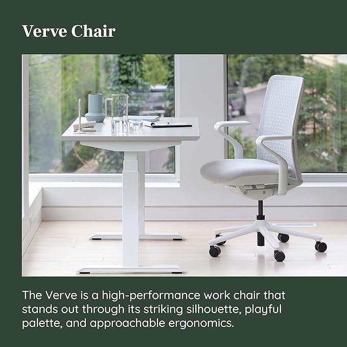 Branch Verve Chair - High Performance Executive Office Chair with Contoured Seat Back and Adjustable Lumbar Rest - High Density Foam Cushion with Aluminum Base - Up to 275 lbs - Mist - LeafyLoom