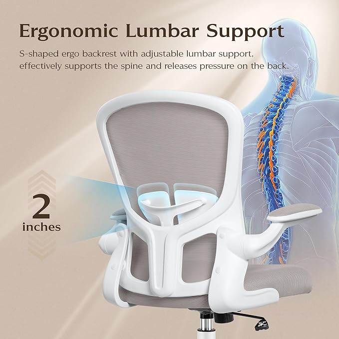 FelixKing Office Chair, Ergonomic Desk Chairs with Wheels Home Mesh Chair Adjustable Lumbar Support and Height, Ergo Chair for Working Gaming Use (Gray) - LeafyLoom