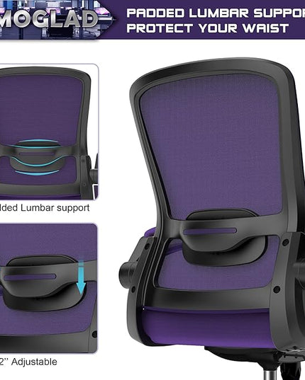 Office Chair, Ergonomic Desk Chair with Adjustable Lumbar Support, High Back Mesh Computer Chair with Flip-up Armrests-BIFMA Passed Task Chairs, Executive Chair for Home Office - LeafyLoom