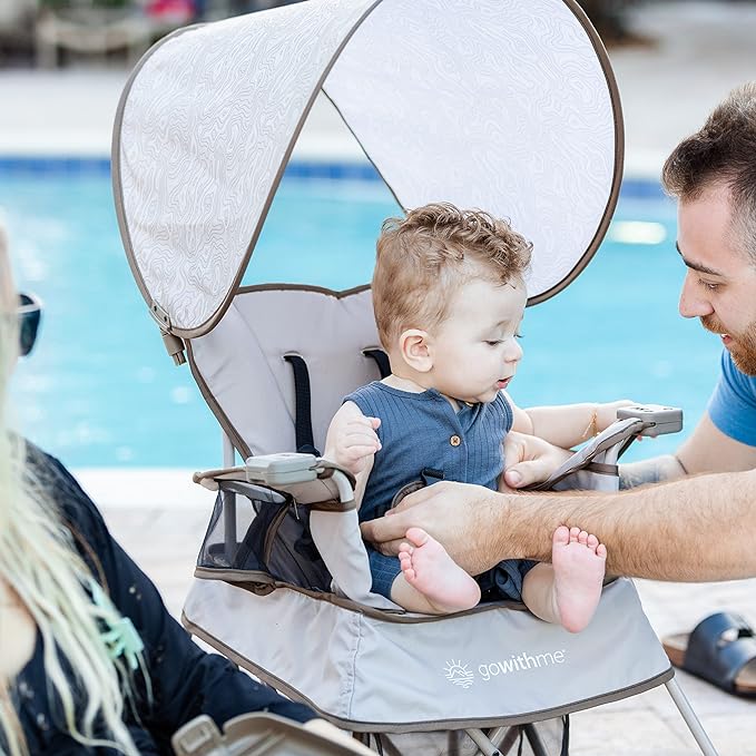 Baby Delight Go with Me Venture Portable Chair | Indoor and Outdoor | Sun Canopy | 3 Child Growth Stages | Elephant Grey - LeafyLoom