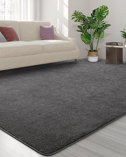 Area Rugs for Bedroom Living Room, 4x6 Dark Grey Super Soft Comfy Thickened Memory-Foam Indoor Carpets, Modern Aesthetic Minimalist Carpet for Boys Girls Adults Apartment Nursery Home Décor - LeafyLoom