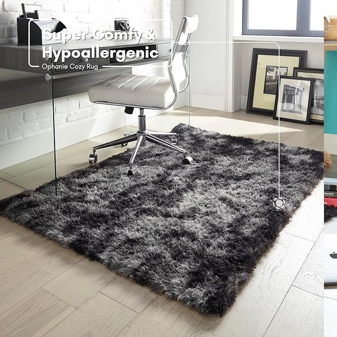 Ophanie Rugs for Bedroom, Machine Washable Fluffy Shaggy Soft Area Rug, Non-Slip Indoor Floor Carpet for Living Room, Kids Boys Teen Dorm Home Decor Aesthetic, Nursery, 4x6 Feet Black and Grey - LeafyLoom
