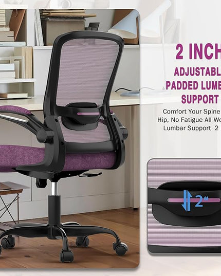 Office Chair, Ergonomic Desk Chair with Adjustable Lumbar Support, High Back Mesh Computer Chair with Flip-up Armrests-BIFMA Passed Task Chairs, Executive Chair for Home Office - LeafyLoom