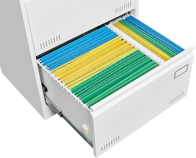 2 Drawer Lateral Lock and Card Holder, Multifunctional Metal Filing Cabinets w/Heavy 3 Section Slide Rail & Breathable Holes,for Legal/Letter/A4,White - LeafyLoom