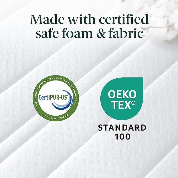 ZINUS 10 Inch Foam and Spring Hybrid Mattress [New Version], Queen, Fiberglass free, Medium Firmness, Durable Support, Certified Safe Foams & Fabric, Mattress in A Box - LeafyLoom