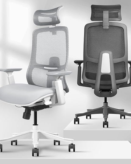 Takumi Ergonomic Office Chair Lumbar Support: Ergonomic Chair, Mesh Office Chair, Ergonomic Desk Chair, Best Desk Chair for Long Hours, Mesh Office Chair for Heavy People - Premium Cushion - LeafyLoom