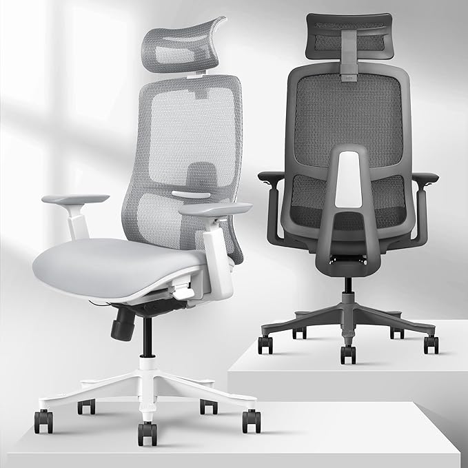 Takumi Ergonomic Office Chair Lumbar Support: Ergonomic Chair, Mesh Office Chair, Ergonomic Desk Chair, Best Desk Chair for Long Hours, Mesh Office Chair for Heavy People - Premium Cushion - LeafyLoom
