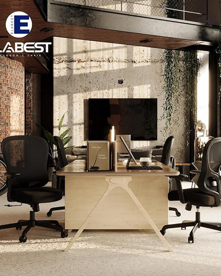 Ergonomic Office Chair,Home Office Chair with Mesh Back,Multi-function Lumbar Support,Built-in Springs Seat,Executive Task Chair with 3-D Big Armrests,Tilt Function,Computer Desk Chair (Black) - LeafyLoom