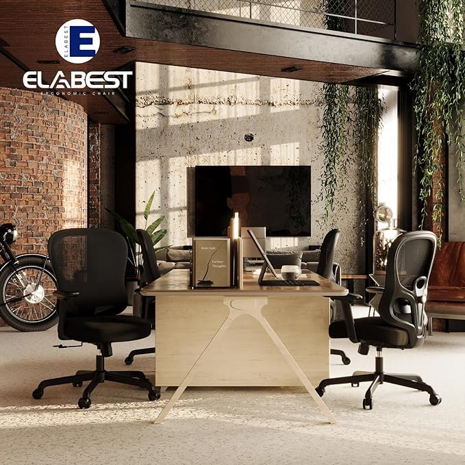 Ergonomic Office Chair,Home Office Chair with Mesh Back,Multi-function Lumbar Support,Built-in Springs Seat,Executive Task Chair with 3-D Big Armrests,Tilt Function,Computer Desk Chair (Black) - LeafyLoom