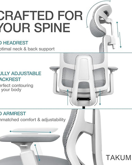 Takumi Ergonomic Office Chair Lumbar Support: Ergonomic Chair, Mesh Office Chair, Ergonomic Desk Chair, Best Desk Chair for Long Hours, Mesh Office Chair for Heavy People - Premium Cushion - LeafyLoom