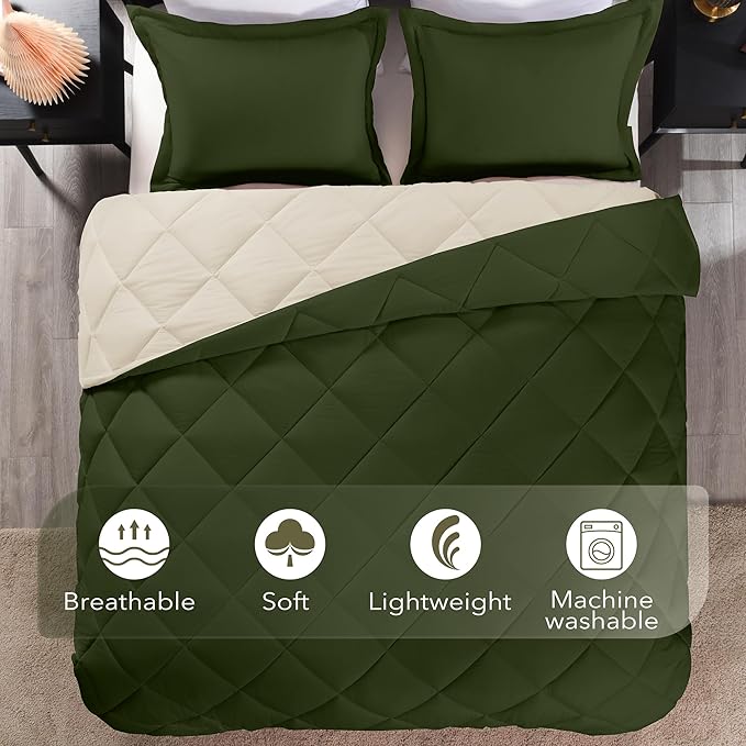 downluxe Queen Comforter Set, Lightweight Solid Down Alternative Reversible, 3-Piece Queen Size Comforter Set with 2 Reversible Pillow Shams (Lichen Green/White) - LeafyLoom