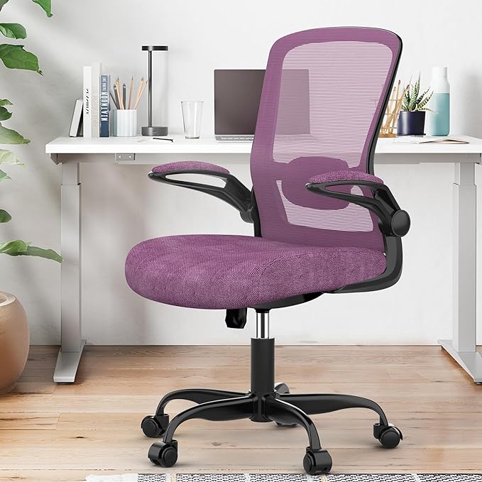 Office Chair, Ergonomic Desk Chair with Adjustable Lumbar Support, High Back Mesh Computer Chair with Flip-up Armrests-BIFMA Passed Task Chairs, Executive Chair for Home Office - LeafyLoom