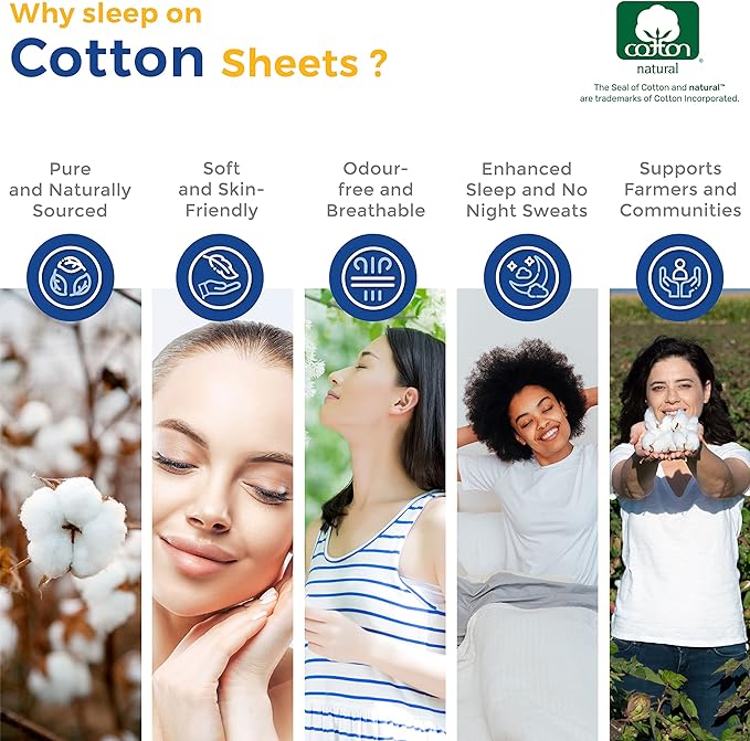 THREAD SPREAD 100% Egyptian Cotton Printed Bed Sheets - 600 Thread Count 3 PC Twin Sheet Set, Hotel Luxury Sateen Bedsheets, 16" Deep Pocket Soft Cooling Sheets for Twin Size Bed - Dotted Stripe - LeafyLoom