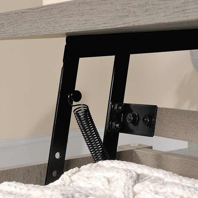 Sauder Cannery Bridge Lift Top Coffee Table, Mystic Oak finish - LeafyLoom