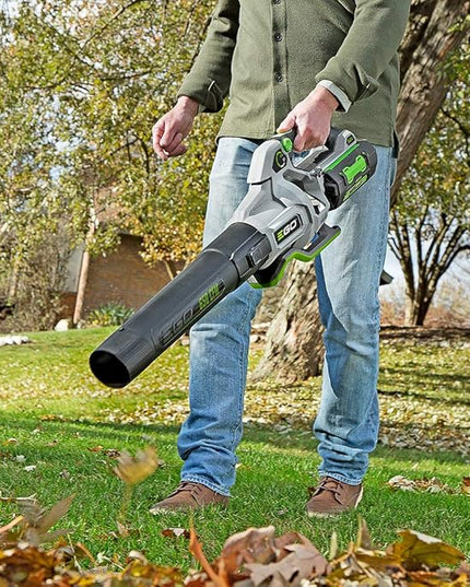 EGO Power+ LB6504 650 CFM Variable-Speed 56-Volt Lithium-ion Cordless Leaf Blower 5.0Ah Battery and Charger Included - LeafyLoom