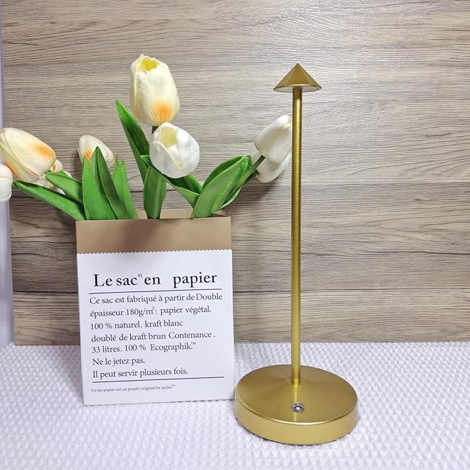 2 PACK Cordless Lamps,Battery Rechargeable Table Lamp,Portable Lamps,2 Level Brightness Dimmable Night Light,Minimalist Design,Cordless Table Lamps for Living Room/Restaurant/Couple Dinner(Gold) - LeafyLoom