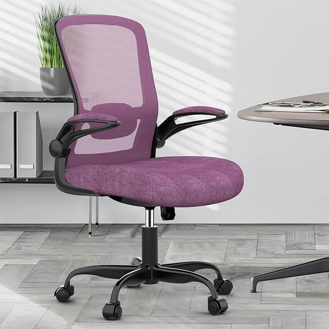 Office Chair, Ergonomic Desk Chair with Adjustable Lumbar Support, High Back Mesh Computer Chair with Flip-up Armrests-BIFMA Passed Task Chairs, Executive Chair for Home Office - LeafyLoom