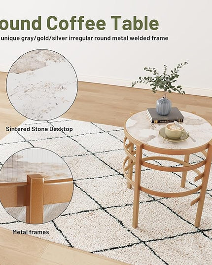 Round Coffee Table Coffee Tables for Living Room Sintered Stone Marble Top Sturdy Metal Frame (Golden, 20.67 inches) - LeafyLoom