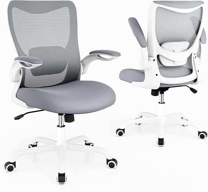 Office Chair, Ergonomic Desk Chair with Adjustable Lumbar Support and Flip up Armrest, Breathable Mesh Computer Chair for Home Office, Gray - LeafyLoom