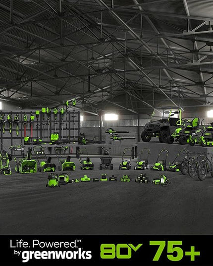 Greenworks 80V (125 MPH / 500 CFM / 75+ Compatible Tools) Cordless Axial Leaf Blower, 2.0Ah Battery and Charger Included - LeafyLoom
