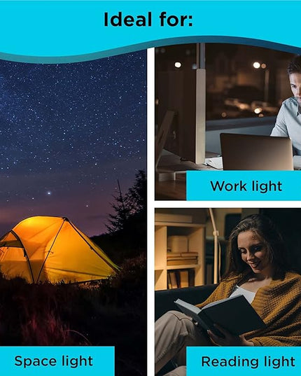 BLACK+DECKER Snake Light, Use for Book Light, Desk Light, and Work Light, 2 Settings, Flexible and Rechargeable (BDCFSL01) - LeafyLoom