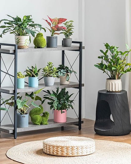 HCHQHS Bookshelf, 3-Tier Industrial Bookcase, Rustic Open Book Shelf, Freestanding Horizontal Bookshelves with Metal Frame - LeafyLoom