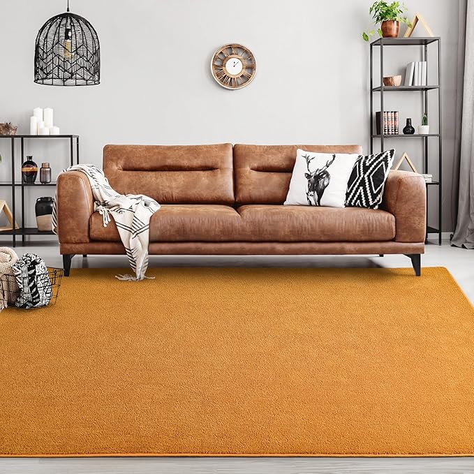 Area Rugs for Bedroom Living Room, 5x8 Orange Super Soft Comfy Thickened Memory-Foam Indoor Carpets, Modern Aesthetic Minimalist Carpet for Boys Girls Adults Apartment Nursery Home Décor - LeafyLoom