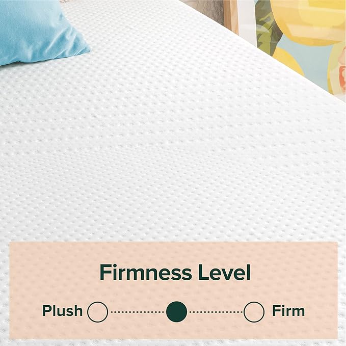 ZINUS 8 Inch Green Tea Essential Memory Foam Mattress, Twin, Mattress in A Box, Affordable Mattress, CertiPUR-US Certified - LeafyLoom