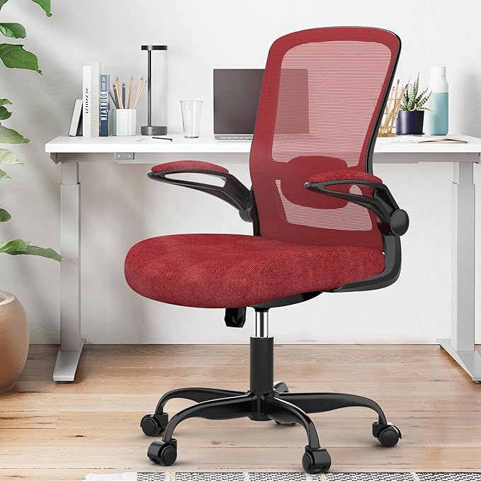 Office Chair, Ergonomic Desk Chair with Adjustable Lumbar Support, High Back Mesh Computer Chair with Flip-up Armrests-BIFMA Passed Task Chairs, Executive Chair for Home Office - LeafyLoom
