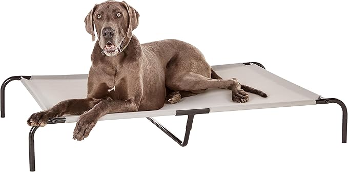 Amazon Basics Cooling Elevated Breathable Pet Bed For Dog, X-Large (60.1 x 37.1 x 8.9 Inches), 1 count, Grey AmazonBasics