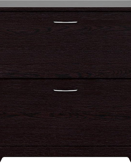 Bush Business Furniture Cabot 2 Drawer Lateral File Cabinet | Letter, Legal, and A4-size Document Storage for Home Office, 32W, Espresso Oak - LeafyLoom
