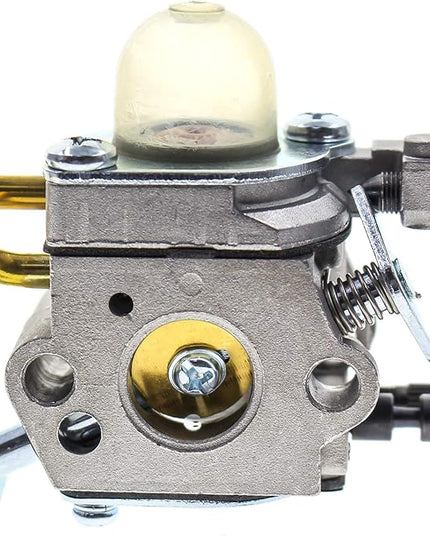 Carburetor with Fuel Line Kit Air Filter for C1U-K78 Echo PB200 PB-200 PB-201 PB201 ES-210 A021000941 A021000942 Power Blower - LeafyLoom