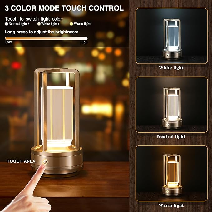 Portable Metal Table Lamp,Cordless Table Lamp, Rechargeable Battery Powered Portable LED Desk Lamp, 3 Color Stepless Dimming Touch, for Bedroom Restaurant Home Outdoor (Silver) - LeafyLoom
