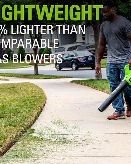 Greenworks 24V (90 MPH / 320 CFM / 125+ Compatible Tools) Cordless Axial Leaf Blower, 2.0Ah Battery and Charger Included - LeafyLoom