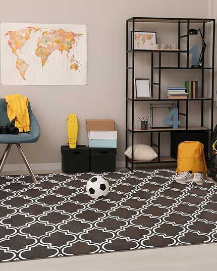 Chicrug Shag Geometric 5x7 Area Rug for Living Room, Large Modern Memory Foam Indoor Carpet, Fluffy Rug for Bedroom Bedside Room Decor for Family Girls Kids Nursery, Brown/White - LeafyLoom