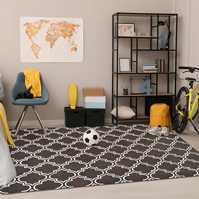 Chicrug Shag Geometric 5x7 Area Rug for Living Room, Large Modern Memory Foam Indoor Carpet, Fluffy Rug for Bedroom Bedside Room Decor for Family Girls Kids Nursery, Brown/White - LeafyLoom