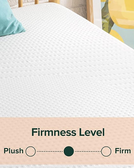 ZINUS 10 Inch Green Tea Essential Memory FoamMattress / Bed-in-a-Box / AffordableMattress / CertiPUR-US Certified, Twin - LeafyLoom