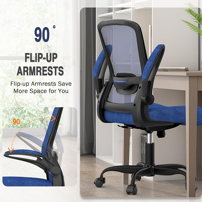Office Chair, Ergonomic Desk Chair with Adjustable Lumbar Support, High Back Mesh Computer Chair with Flip-up Armrests-BIFMA Passed Task Chairs, Executive Chair for Home Office - LeafyLoom