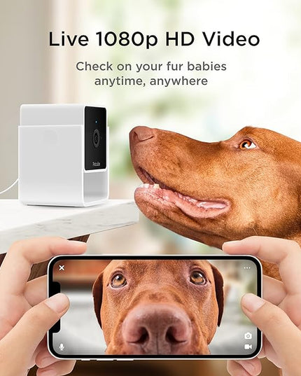 Petcube Cam | Indoor Wi-Fi Pet and Security Camera with Phone App, Pet Monitor with 2-Way Audio and Video, Night Vision, 1080p HD Video and Smart Alerts for Ultimate Home Security Petcube