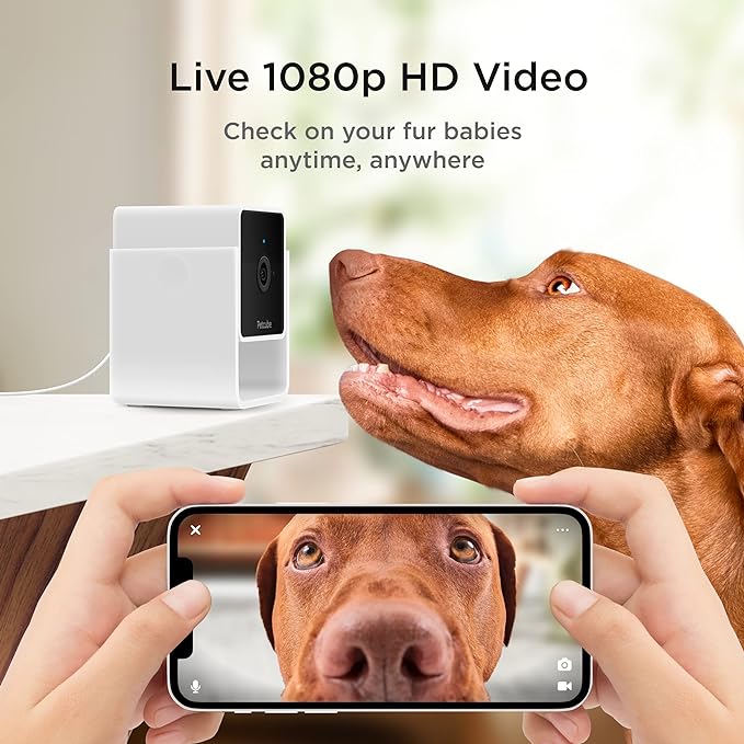 Petcube Cam | Indoor Wi-Fi Pet and Security Camera with Phone App, Pet Monitor with 2-Way Audio and Video, Night Vision, 1080p HD Video and Smart Alerts for Ultimate Home Security Petcube