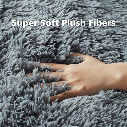 Ophanie Small Area Rug, 2x3 Machine Washable Throw Grey Cheap Fluffy Shaggy Soft Bedside Rug, Indoor Floor Gray Carpet for Kids Baby Boys Teen Dorm Room Doorway, Nursery,Home Decor Aesthetic - LeafyLoom