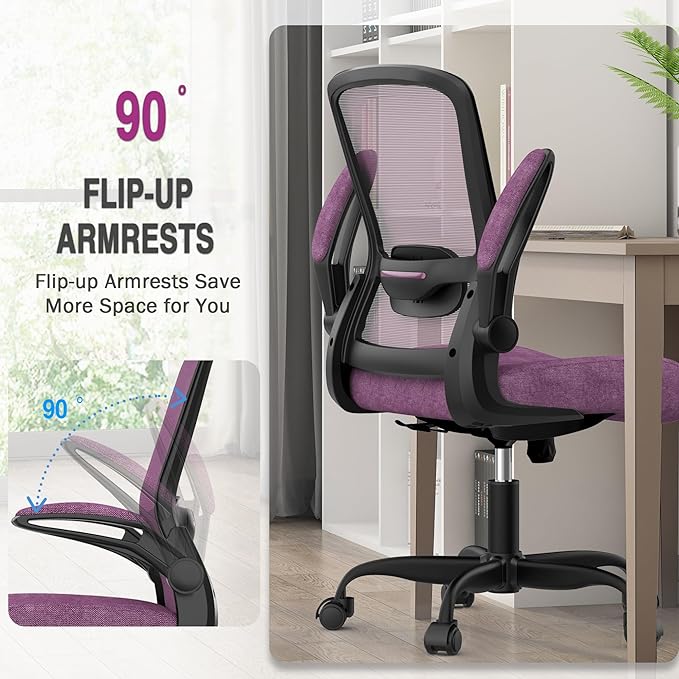 Office Chair, Ergonomic Desk Chair with Adjustable Lumbar Support, High Back Mesh Computer Chair with Flip-up Armrests-BIFMA Passed Task Chairs, Executive Chair for Home Office - LeafyLoom