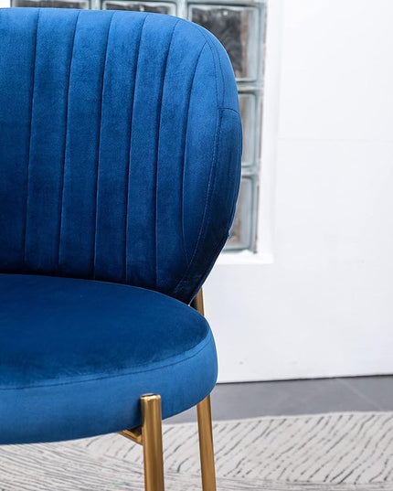 Roundhill Furniture Amoa Dining Chair, Set of 2, Blue - LeafyLoom