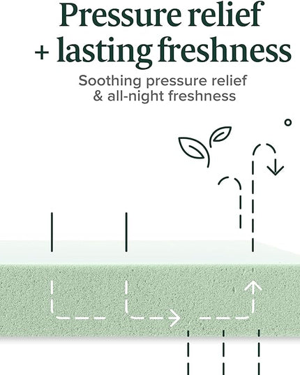 ZINUS 10 Inch Green Tea Memory Foam Mattress [New Version], Full, Fiberglass free, Medium Firm Feel, Zoned Pressure Relief, Certified Safe Foams & Fabric, Mattress in A Box - LeafyLoom