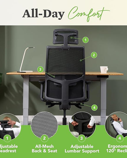 HON Ignition 2.0 Ergonomic Mesh Office Chair with Headrest - High Back Computer Desk Chair Adjustable Lumbar Support, Armrests, Seat-Depth, Synchro-Tilt Recline, 360 Swivel Rolling Wheels – Black - LeafyLoom