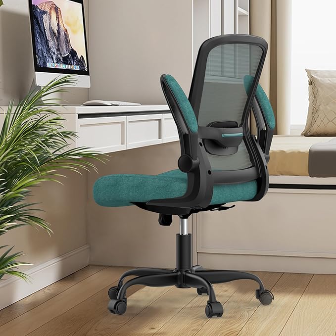 Office Chair, Ergonomic Desk Chair with Adjustable Lumbar Support, High Back Mesh Computer Chair with Flip-up Armrests-BIFMA Passed Task Chairs, Executive Chair for Home Office - LeafyLoom