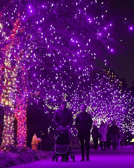 Dazzle Bright 2 Pack Total 400LED 132FT Halloween Solar String Outdoor Lights, Solar Powered with 8 Modes Waterproof Halloween Lights for Bedroom Patio Garden Tree Party Yard Decoration (Purple) DazzleBright