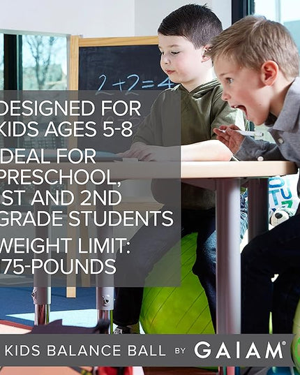 Balance Ball Chair - LeafyLoom