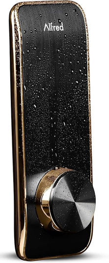 Alfred Touchscreen Keypad Pin + Key Entry Smart Door Lock Combo with Wi-Fi Connect Bridge & Key (DB2W-B-GL) ALFRED